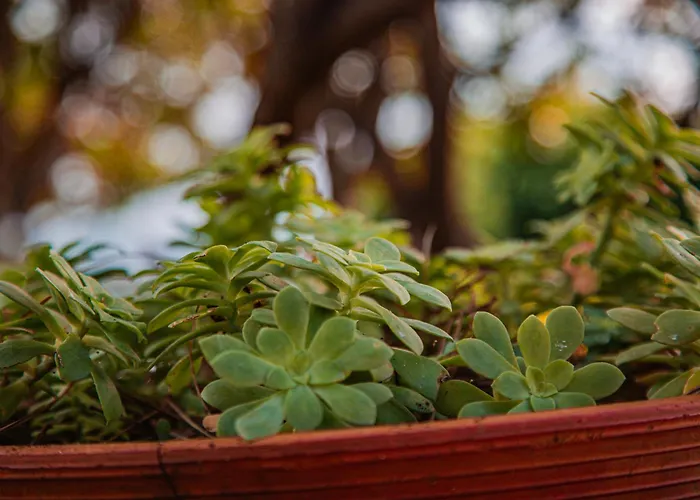 度假居 Sea Point 塞勒里古